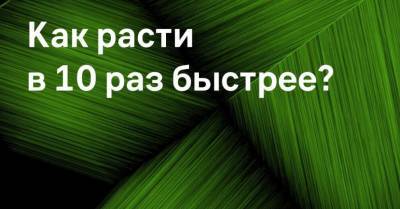 Начинается прием заявок на бизнес-обучение - rus.delfi.lv - Латвия