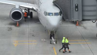 Женщина выпустила собаку в салоне самолета Симферополь — Омск - iz.ru - Россия - Израиль - Симферополь - Омск - округ Сибирский