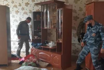 Более 20 представителей кочевого народа доставили в полицию после рейда в Ленобласти - online47.ru - Россия - Ленинградская обл. - Санкт-Петербург - район Гатчинский