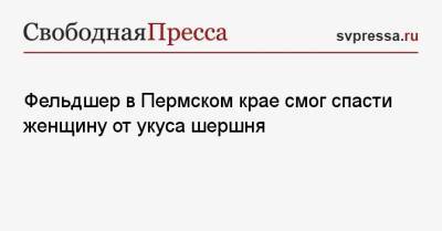 Фельдшер в Пермском крае смог спасти женщину от укуса шершня - svpressa.ru - Хабаровский край - Пермский край - Самарская обл.