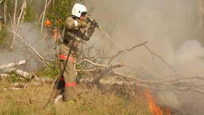 Фарит Гумеров - В Башкирии продолжают действовать 14 очагов лесных пожаров - bash.news - Башкирия