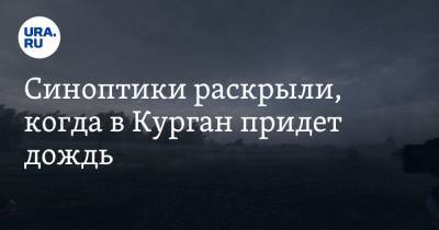 Синоптики раскрыли, когда в Курган придет дождь - ura.news - Россия - Курганская обл.