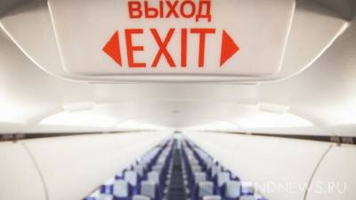 В Омске пассажирка выгуливала собаку в салоне самолета - newdaynews.ru - Россия - Симферополь - Омск - округ Сибирский