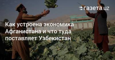 Узбекистан - Как устроена экономика Афганистана и что туда поставляет Узбекистан - gazeta.uz - Узбекистан - Афганистан