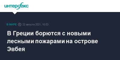 В Греции борются с новыми лесными пожарами на острове Эвбея - interfax.ru - Москва - Греция