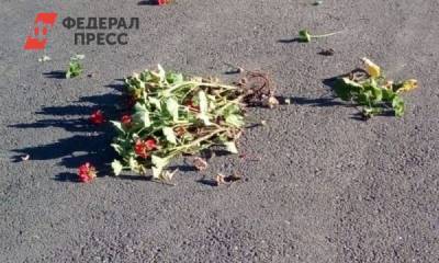 Вандалы в Киселевске разгромили горсад после благоустройства - fedpress.ru - Киселевск - Новокузнецк