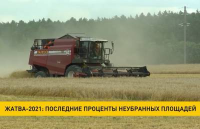 Жатва-2021: остались последние проценты неубранных площадей - ont.by - Белоруссия