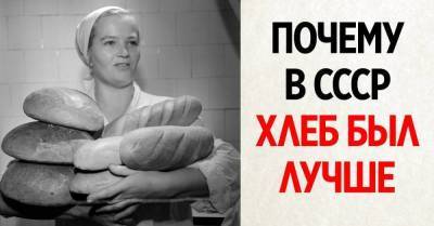 Почему советский хлеб был вкуснее того, что мы берем в магазинах - skuke.net