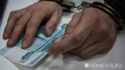 В Башкирии разоблачили банду гаишников-взяточников - newdaynews.ru - Россия - Башкирия