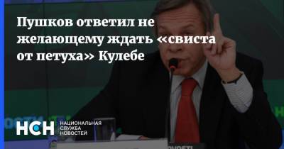 Алексей Пушков - Дмитрий Кулебы - Пушков ответил не желающему ждать «свиста от петуха» Кулебе - nsn.fm - Россия - Украина - Киев - Крым