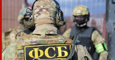 Агента украинских спецслужб задержали с поличным в Туле - profile.ru - Россия - Украина - Тула