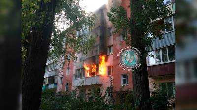 При пожаре в воронежской пятиэтажке пострадал мужчина - vestivrn.ru - Воронеж
