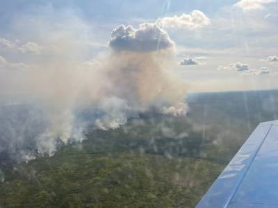 Новые очаги возгорания обнаружил в Нижегородской области Игорь Чкалов во время авиапатрулирования - vgoroden.ru - Россия - Нижегородская обл.
