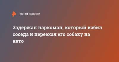 Задержан наркоман, который избил соседа и переехал его собаку на авто - ren.tv - Москва