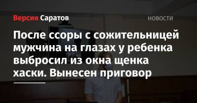 После ссоры с сожительницей мужчина на глазах у ребенка выбросил из окна щенка хаски. Вынесен приговор - nversia.ru - Саратов