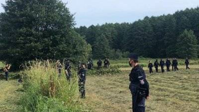 На польско-белорусской границе группа афганских беженцев три недели ест траву и пьет воду из болота - newdaynews.ru - Белоруссия - Польша - Афганистан