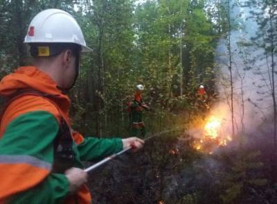 Рядом с Ноябрьском начался третий за неделю лесной пожар - znak.com - Ноябрьск