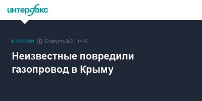 Неизвестные повредили газопровод в Крыму - interfax.ru - Москва - Россия - Крым - Симферополь - район Симферопольский - с. Перевальное