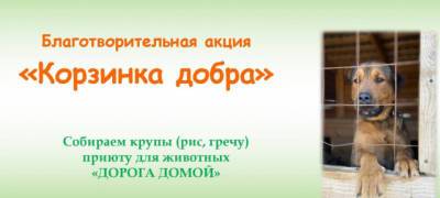 В Петрозаводске библиотека начала сбор еды для бездомных животных - stolicaonego.ru - Петрозаводск - республика Карелия