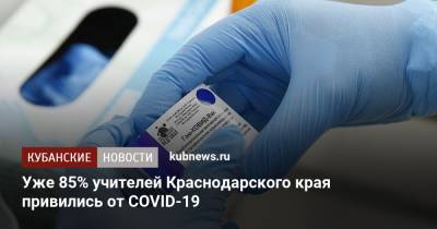 Вениамин Кондратьев - Уже 85% учителей Краснодарского края привились от COVID-19 - kubnews.ru - Краснодарский край - Кубань