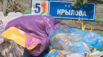 Власти объяснили, почему в Воронеже задерживается реконструкция мусорных площадок - vestivrn.ru - Воронеж