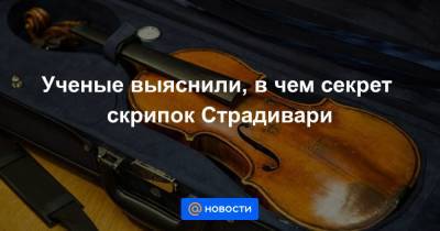 Ученые выяснили, в чем секрет скрипок Страдивари - news.mail.ru