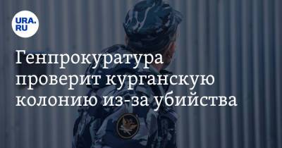 Генпрокуратура проверит курганскую колонию из-за убийства - ura.news - Россия - Курган