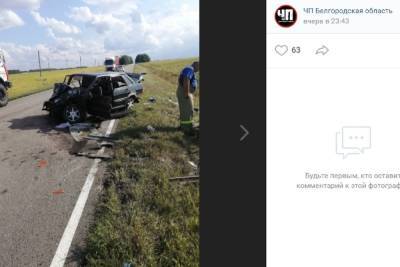 ДТП в Белгородской области унесло жизни двух человек и отправило в больницу шестерых - mk.ru - Белгородская обл. - Самара