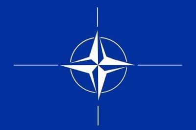 Забихулла Муджахид - Амрулла Салеха - Стало известно об отказе НАТО оказать помощь силам сопротивления в Афганистане - versia.ru - Россия - Афганистан