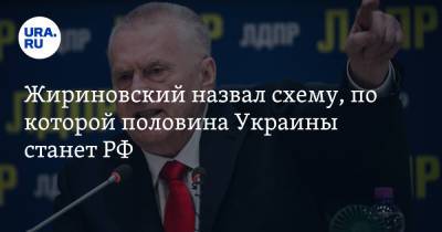 Владимир Жириновский - Жириновский назвал схему, по которой половина Украины станет РФ - ura.news - Россия - Украина - Крым - Львов