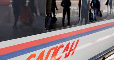 Россиянин умер в «Сапсане» по пути в Москву - moslenta.ru - Москва - Санкт-Петербург - Twitter