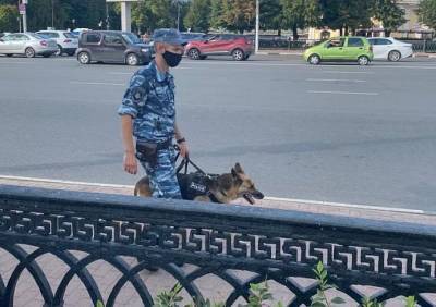 В полиции рассказали о массовых рейдах в Рязани - ya62.ru - Рязанская обл. - Рязань