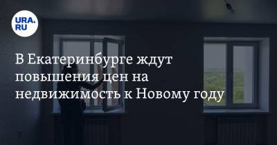 В Екатеринбурге ждут повышения цен на недвижимость к Новому году - ura.news - Екатеринбург - Уральск