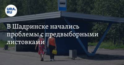 В Шадринске начались проблемы с предвыборными листовками - ura.news - Россия - Шадринск