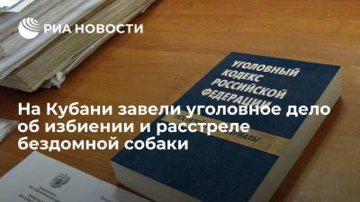 В Новороссийске возбудили уголовное дело против живодера за издевательство над бездомной собакой - ria.ru - Россия - Краснодарский край - Краснодар - Новороссийск - Дагомыс