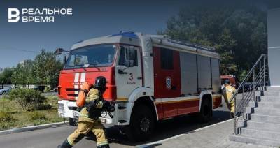 В ГУ МЧС РФ по Татарстану опровергли переход лесного пожара на дома в одном из поселков республики - realnoevremya.ru - Россия - респ. Татарстан - район Лениногорский