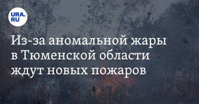 Из-за аномальной жары в Тюменской области ждут новых пожаров - ura.news - Тюмень - Тюменская обл. - Ялуторовск - район Исетский