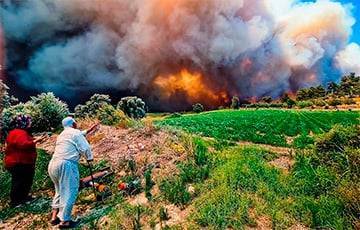 Турцию и Грецию охватили новые лесные пожары: видео - charter97.org - Белоруссия - Греция - Turkey