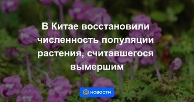 В Китае восстановили численность популяции растения, считавшегося вымершим - news.mail.ru - Китай - Экология