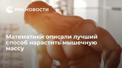 Математики описали лучший способ нарастить мышечную массу - ria.ru - Москва