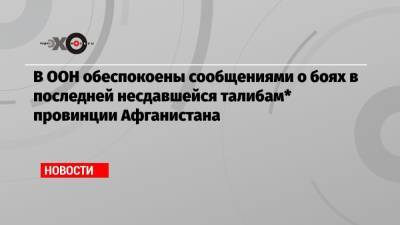 В ООН обеспокоены сообщениями о боях в последней несдавшейся талибам* провинции Афганистана - echo.msk.ru - Россия - Таджикистан - Афганистан