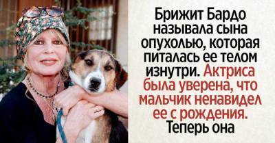 Брижит Бардо - Почему сын Брижит Бардо не позвал ее на свою свадьбу - skuke.net - Франция