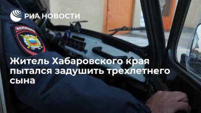 Житель Хабаровского края, находясь в состоянии опьянения, избил и пытался задушить трехлетнего сына - ria.ru - Россия - Хабаровский край - Владивосток - район Ванинский