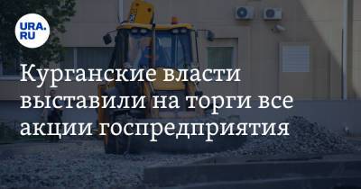 Курганские власти выставили на торги все акции госпредприятия - ura.news - Курганская обл.