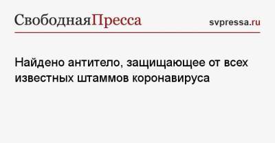 Найдено антитело, защищающее от всех известных штаммов коронавируса - svpressa.ru - Вашингтон