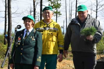 Хабаровчане садят лес в Якутии - hab.aif.ru - респ. Саха - Хабаровск
