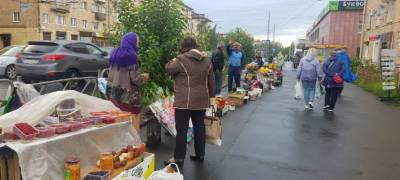 Несанкционированная торговля дарами леса бойко идет в центре Петрозаводска (ФОТО) - stolicaonego.ru - Петрозаводск