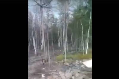 Жители Бурятии потребовали пустить экологов на урановое предприятия Росатома после экологической катастрофы - tayga.info - респ.Бурятия