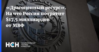 «Драгоценный ресурс». На что Россия потратит $17,5 миллиардов от МВФ - nsn.fm - Россия