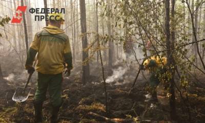 В Челябинской области локализовали очередной пожар в лесу - fedpress.ru - Челябинская обл. - район Пластовский
